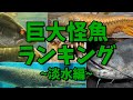 釣り上げろ!!世界の巨大怪魚ランキング~淡水編~