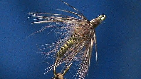 Beginner Fly Tying an Oliive Red Squirrel Soft Hackle with Jim Misiura