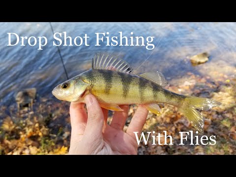 Drop Shot Fishing with Flies for Winter Panfish and Perch 