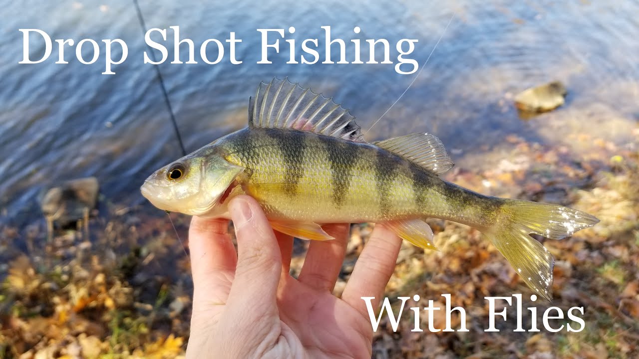 Drop Shot Fishing with Flies for Winter Panfish and Perch 