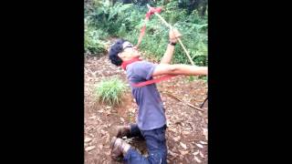 Download Lagu Green Ranger Edelwies MP3 Green Ranger Edelwies
