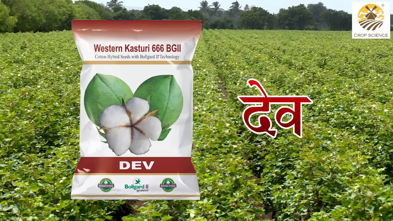 Markiv Beech| best animation fertiliser video| animation fertiliser Product video|Ayushmi Creation