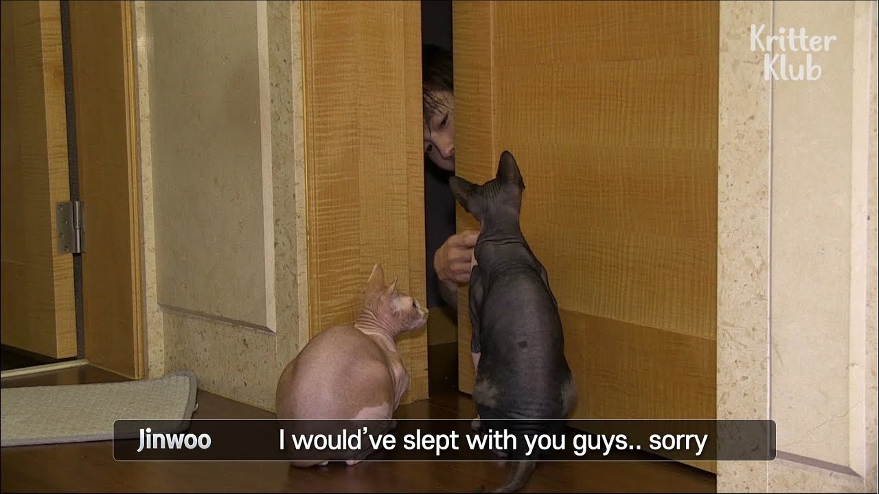 Победитель четырех домашних животных каждый день | Эпизод 4 