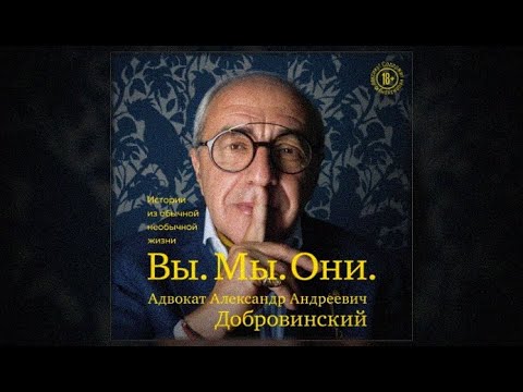 Вы. Мы. Они. Истории из обычной необычной жизни / Александр Добровинский (аудиокнига)