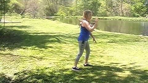 Tai Chi Lesson 10: Deflect Downward, Parry and Punch