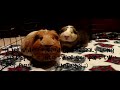End of video