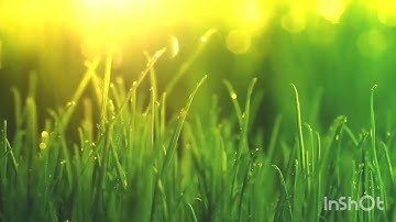 سورة الكهف تلاوة رائعة تخشع لها القلوب ❤️❤️ وتطمأن لها النفوس جودة عالية