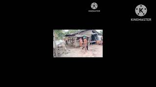 km 20260420 1080p 60f 20260420 071134