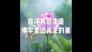 201812 自净其意才是佛学里边真正的善24050