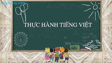 Soạn bài Thực hành tiếng việt trang 58 SGK Ngữ Văn 10 tập 1 Kết nối tri thức