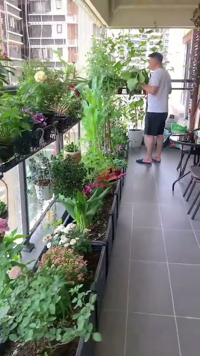 Growing vegetables with flowers on the balcony is both beautiful and easy