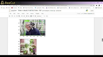 OBJECT DETECTION USING TENSORFLOW - SSD MOBILENET(THE SPARKS FOUNDATION TASK - 1)