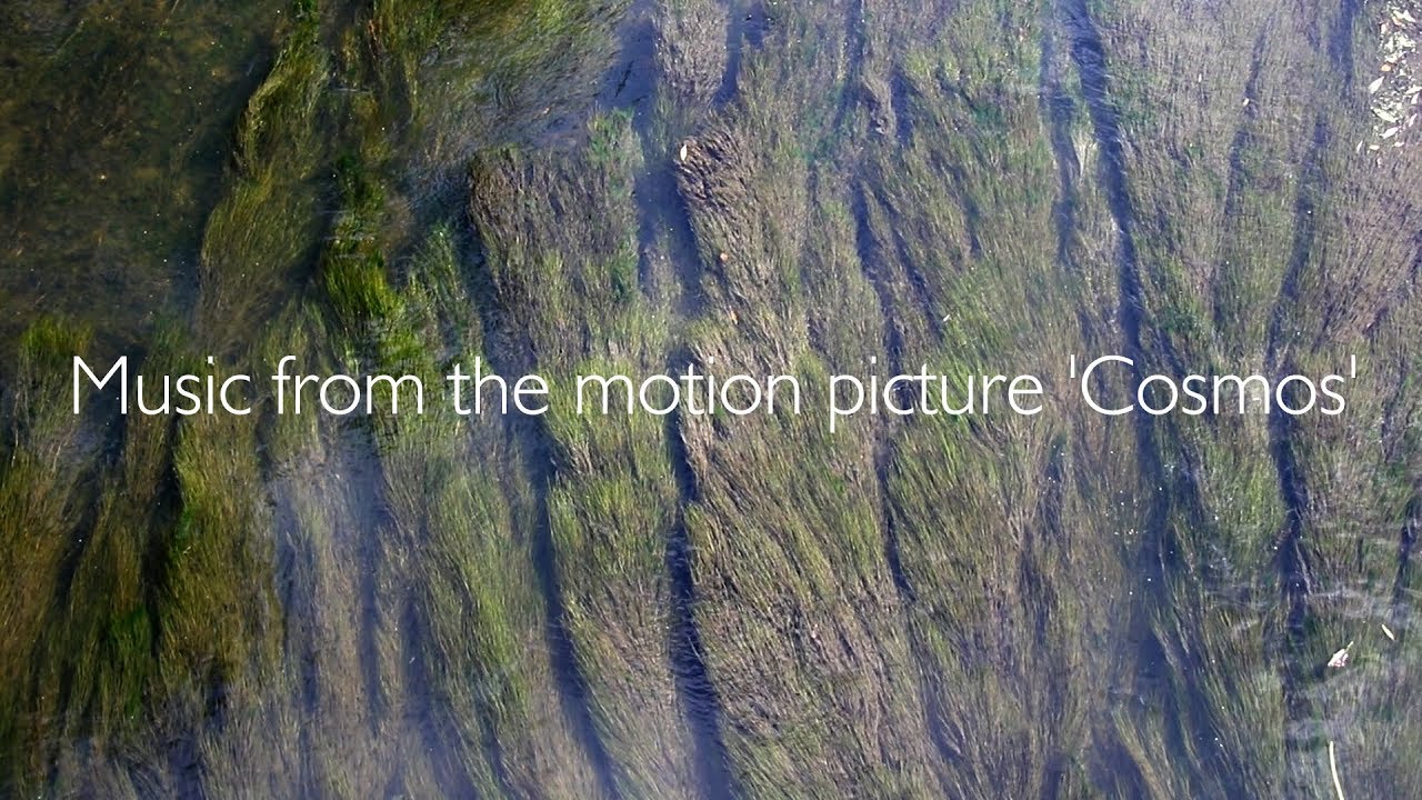 Watch Edward Artemiev & Stanislav Kreitchi "Music from the motion picture "Cosmos'" on YouTube Watch Edward Artemiev & Stanislav Kreitchi "Music from the motion picture "Cosmos'" on YouTube