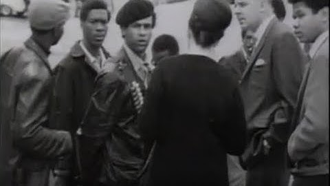 Black Power, Black Panther Party (1990)