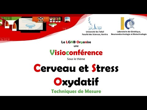 Vidéo: L'effet De AP-2δ Sur La Transcription Du Gène Prestin Dans Les Cellules HEI-OC1 Sur Le Stress Oxydatif