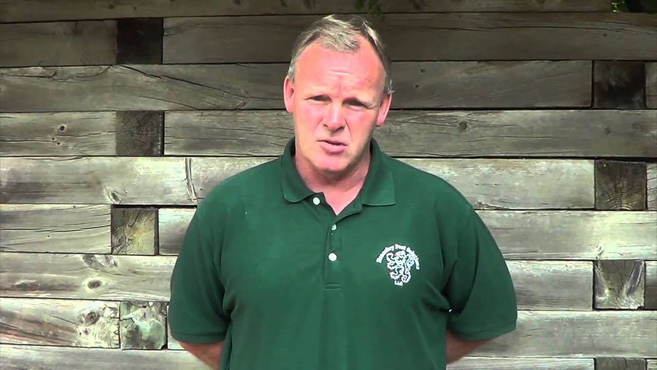 Bernardsville NJ Pest Control (908)578-0726