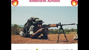 COBRA.CRPF Commando Wp status video 📸