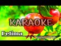 Delima karaoke tanpa vocal_jotha RG dan yulia citra