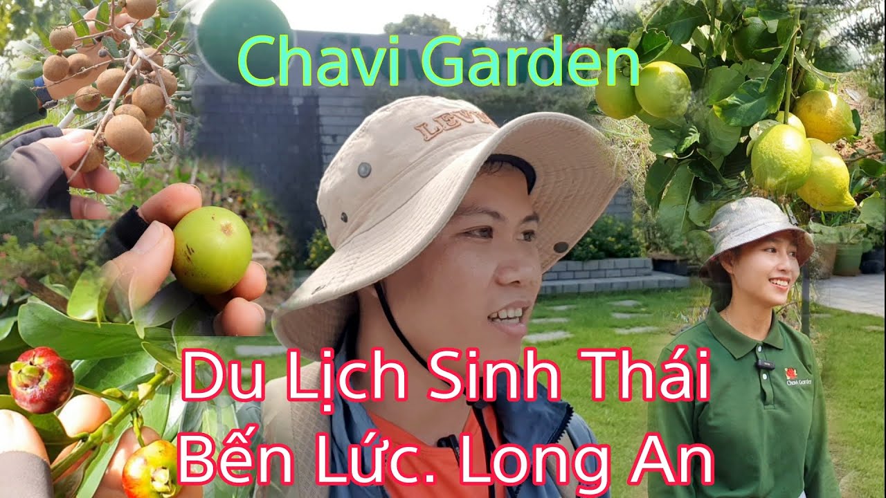 Khám Phá Chavi Garden | Khu Du Lịch Sinh Thái Ở Huyện Bến Lức. Long An