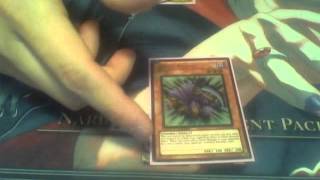 Inzektor Deck Profile Update