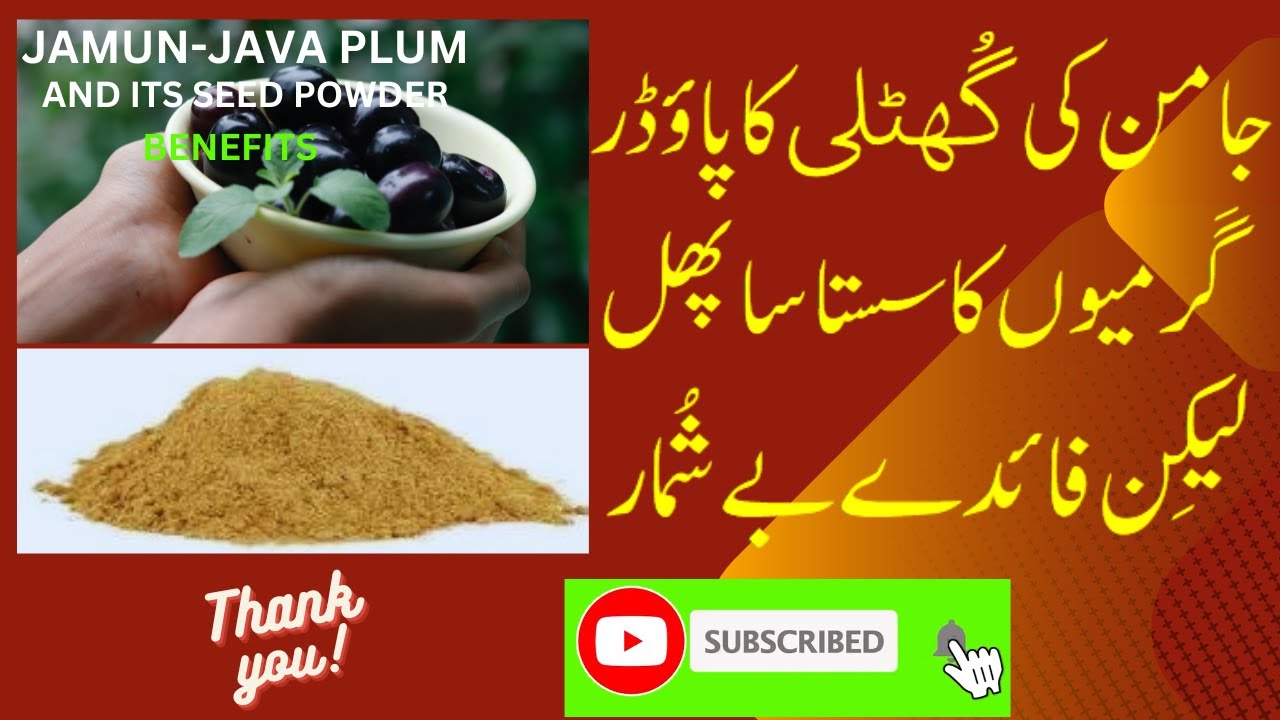 Jamun Seed Powder ke fayde YouTube