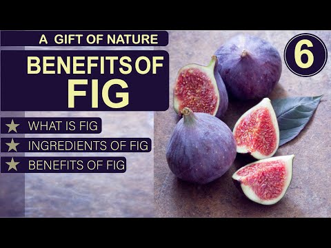 HEALTH BENEFITS OF FIG | INGREDIENTS TYPES AND USAGE OF FIG
