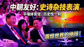 让习近平龙颜大悦的节目｜《祖国与我的命运》（完整版）｜中朝友好欢迎晚会的高潮节目