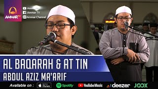 SURAT AL BAQARAH 185 - 186 & AT TIN || ABDUL AZIZ MA'ARIF || IMAM SHOLAT TARAWIH