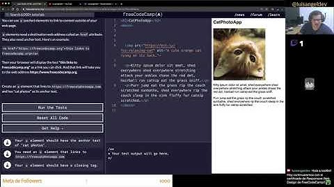 Creando enlaces externos en #HTML - Desarrollo web - freeCodeCamp en español #100DaysOfCode