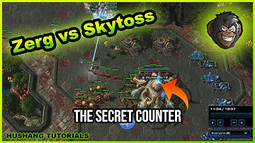 Starcraft 2 Zerg Guide | Playing vs Skytoss