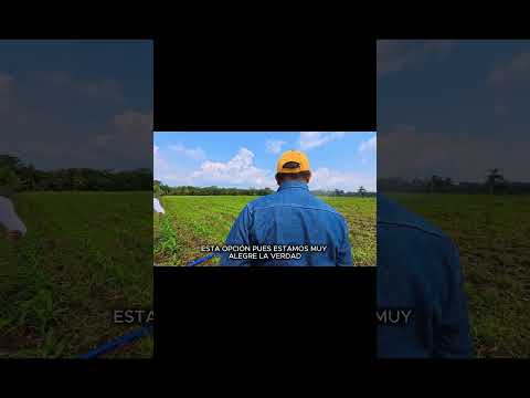 Testimonio: El impacto de los apoyos agropecuarios en el Ejido Jolochero | Gobierno de Tabasco
