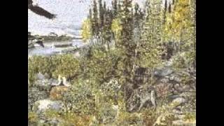 All about The Taiga Biome
