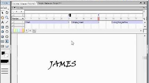 10 02 Using Flash SWF Files in Director