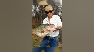 THE RECORD BASS THAT DIDN’T COUNT #bassfishing #fishing #shorts