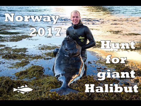 Norway 2017 - Hunt for giant Halibut