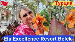 видео: Ela Excellence Resort Belek. Семейный отель, питание супер. Уникальный детский клуб, город профессий картинка: Ela Excellence Resort Belek. Семейный отель, питание супер. Уникальный детский клуб, город профессий