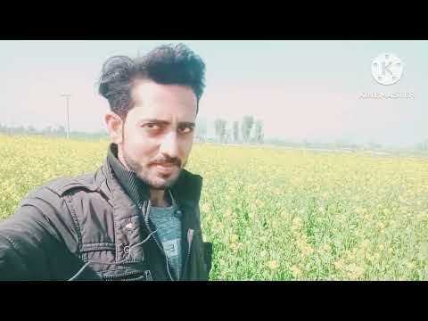 aaj kal de