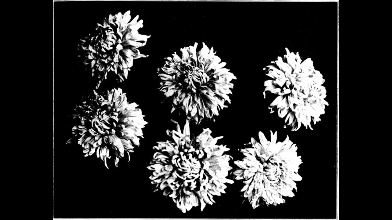 Black Ether - Believe