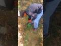 viral#vloge#shoortfeeds#home#vloge#chilang1m#subscribe