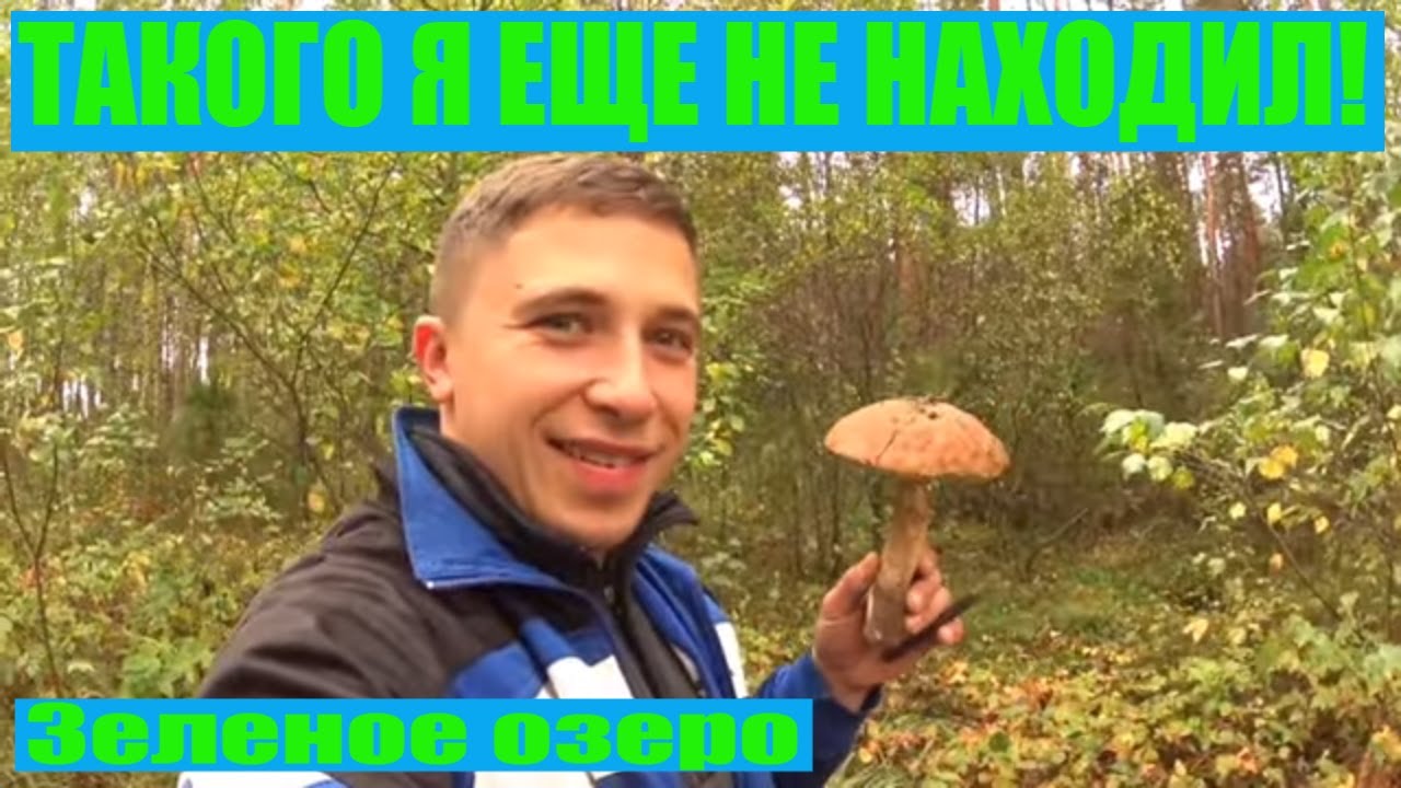 Канал дела семейные на ютубе беларусь