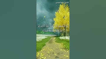 سورة الفتح من آية 21 إلى آية 24 بصوت الشيخ ياسر الدوسري♥♥