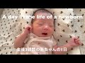 〔vlog〕【1日密着】新生児との1日ルーティン👶🏻🤍A day in the life of a newborn|夏生まれ🌻|混合育児【生後3週間】
