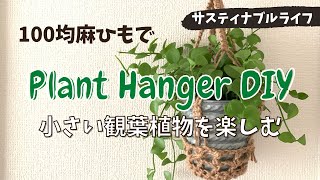 【Plant hanger DIY】100均の麻ひもで観葉植物を飾るプラントハンガー作ってみた