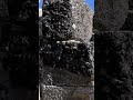 Shorts Kibyra Ancienttreasures Shorts Kibyra Ancienttreasures