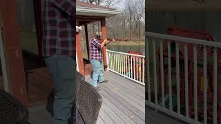 Swiss Schmidt-Rubin K-11. 7.5X55 Swiss. Subscribe For More