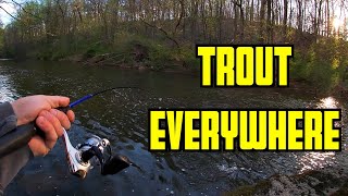 These STOCKED TROUT are EVERYWHERE in This CREEK