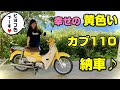 【新車納車】ヒヨコちゃんがスーパーカブ110のイエローを買う‼️【カブ主バイク女子誕生♪】