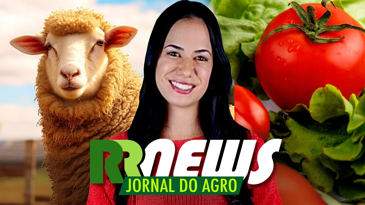 RRNEWS - O Jornal do Agro - 29/10/2025