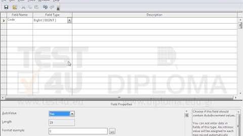 Create a new table displaying the following fields:  1st field: Code,type of data: BigInt,...