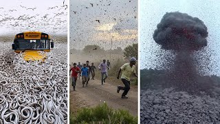 Download Lagu Cosas Extrañas Están Ocurriendo en Todo el Mundo — ¡Nadie Sabe Por Qué! MP3